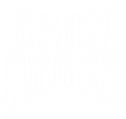 ZACHBANES.COM